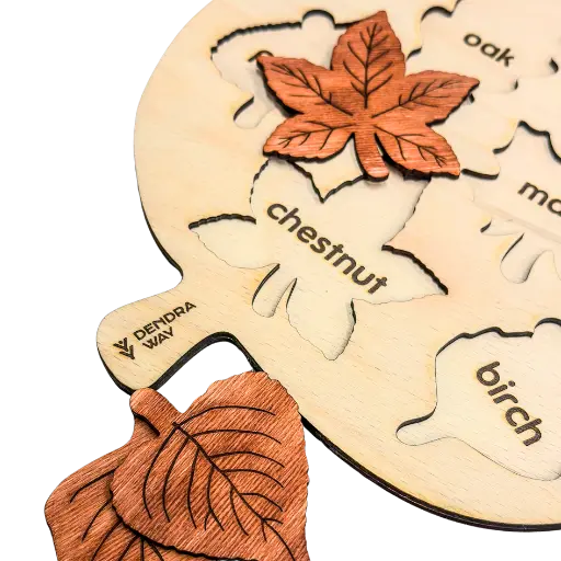 Montessori Leafs Board | Autumn