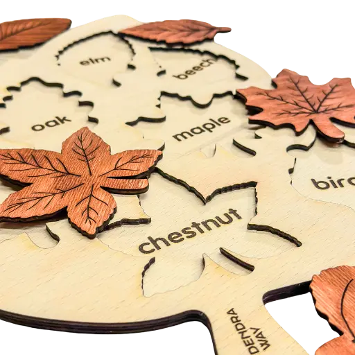 Montessori Leafs Board | Autumn